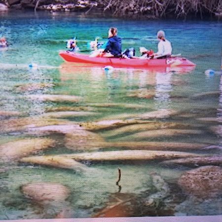 Manatee Watch Den Lägenhet Crystal River Exteriör bild