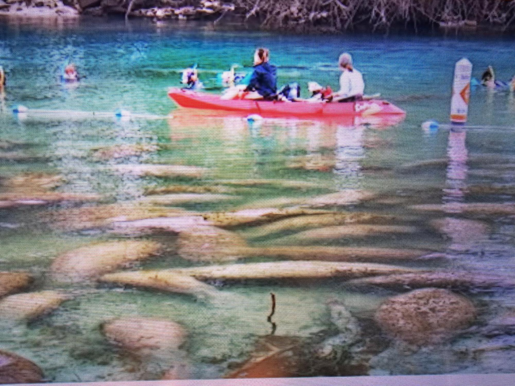 Manatee Watch Den Lägenhet Crystal River Exteriör bild